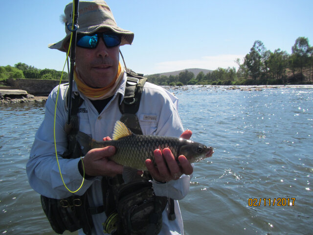 Listing image 604268