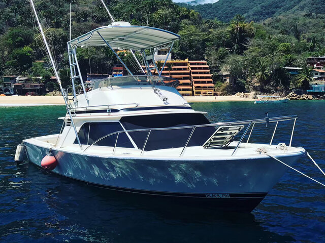 Listing image 622423