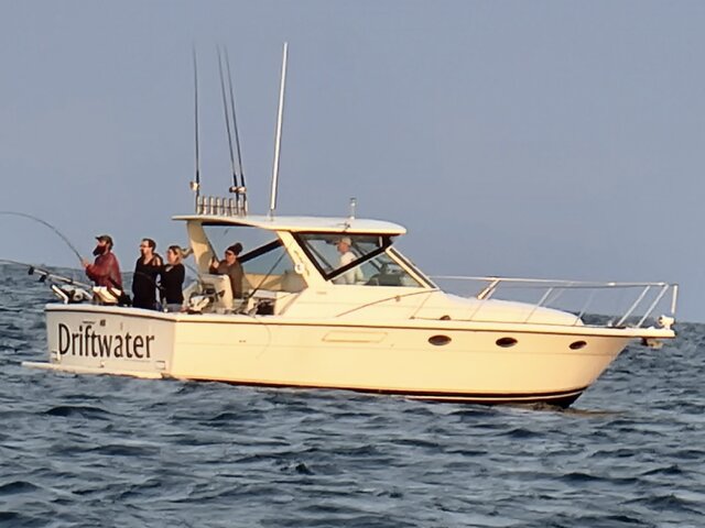 Listing image 720590