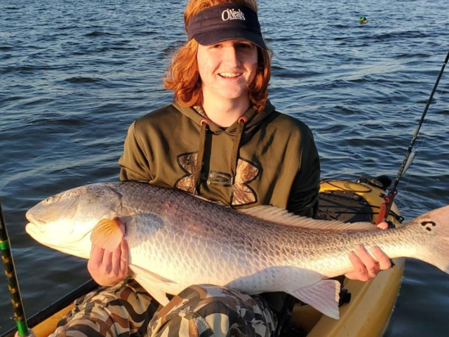 Listing image 616351