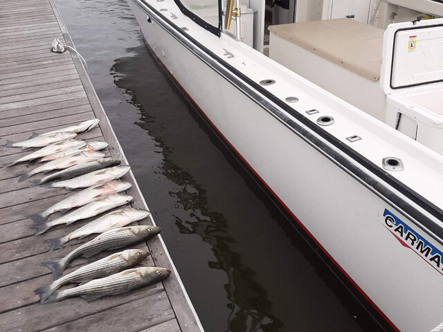 Listing image 612275