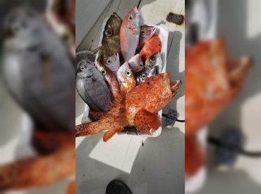 Big Game Fishing – Portorož