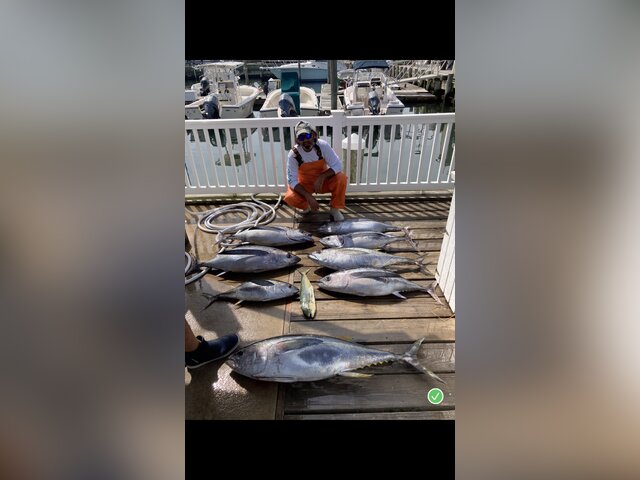 Listing image 598452