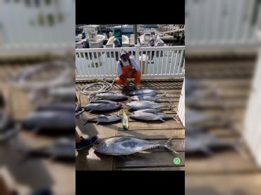 Hudson Fishing Charters thumbnail