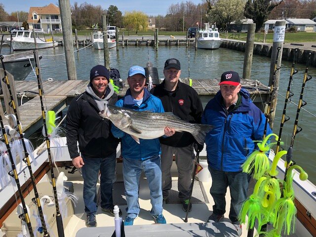 Listing image 222758