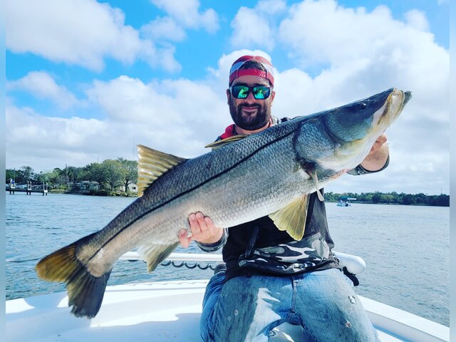 Listing image 868777