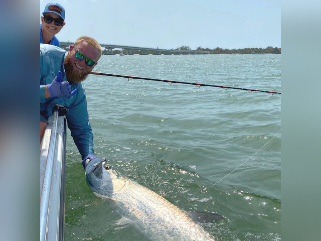 Listing image 658561