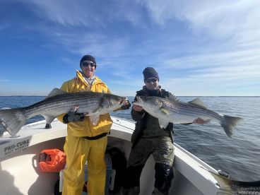 Charter Image
