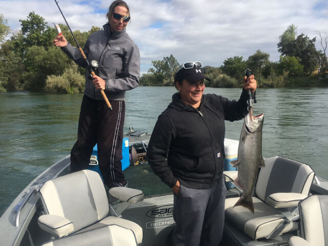 Listing image 638564