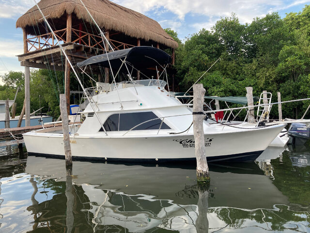 Listing image 627790