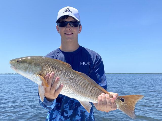 Listing image 626115