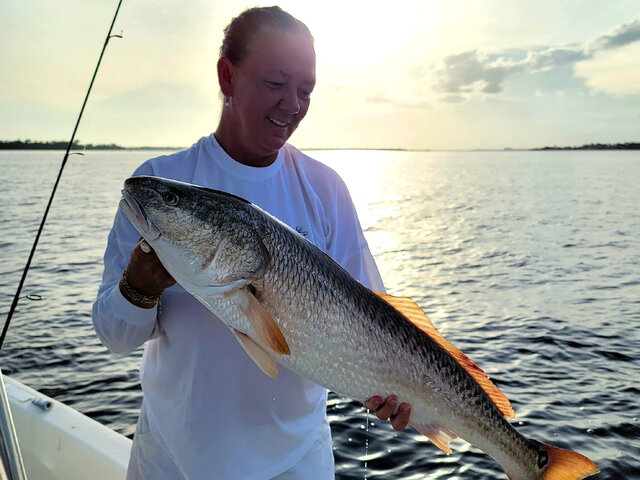 Listing image 611488