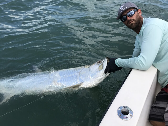 Listing image 614848