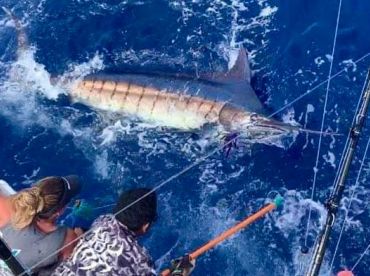 Nambas Fishing Charters thumbnail