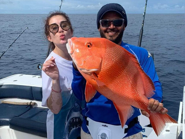 Listing image 637592