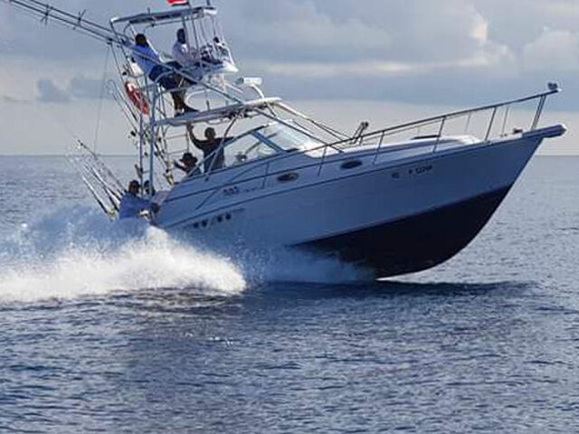 Listing image 619897