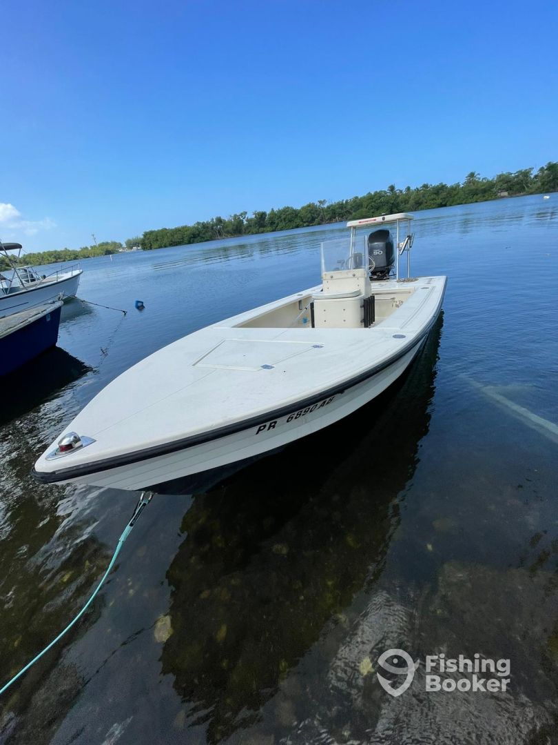 Boat Image