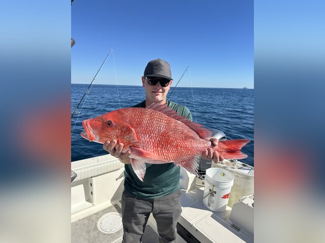 Listing image 1310342