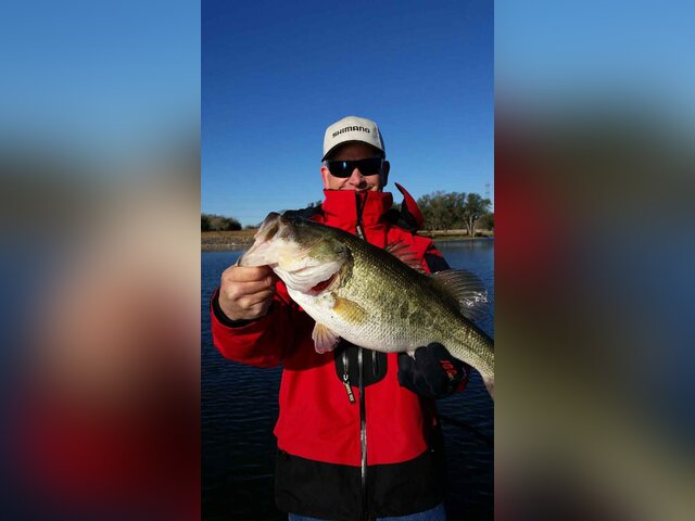 Listing image 1312113