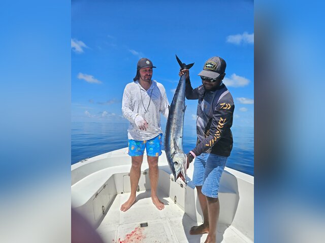 Listing image 1238211