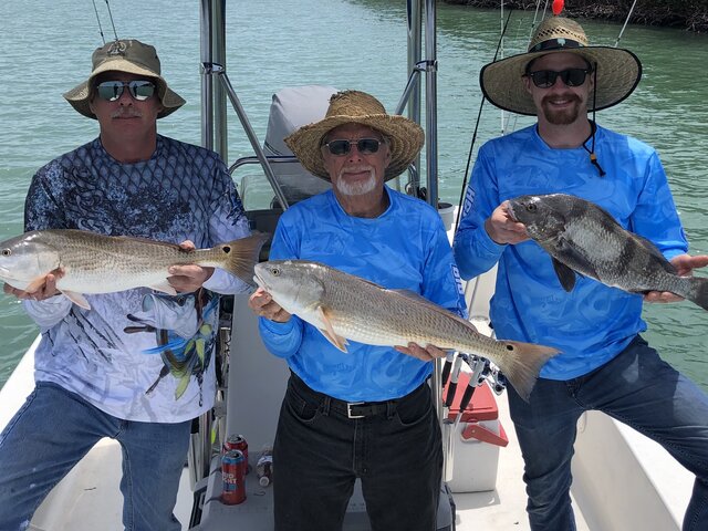 Listing image 618923