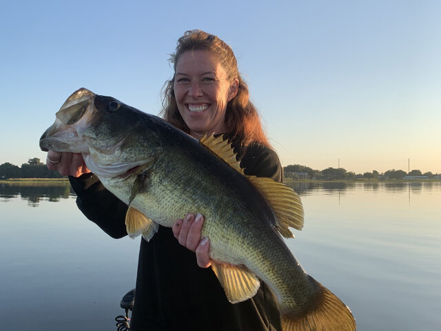 Listing image 641959