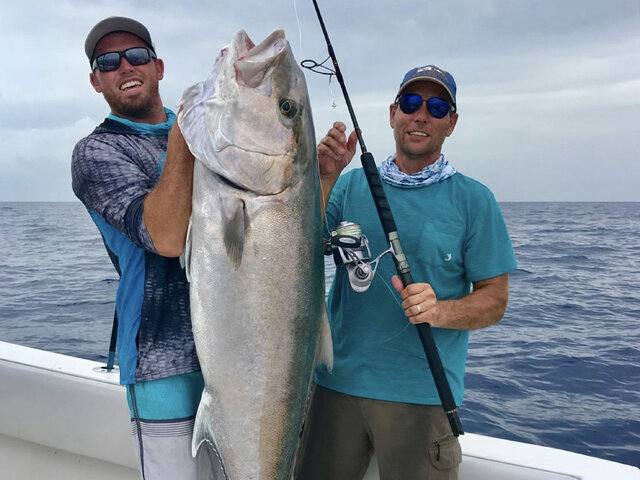 Listing image 627631