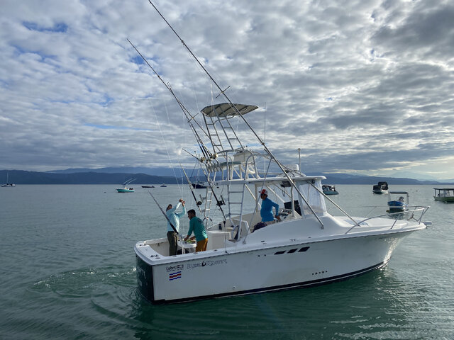 Listing image 627798