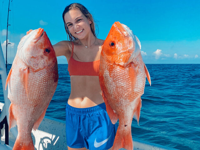 Listing image 642768