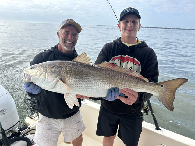 Listing image 951762