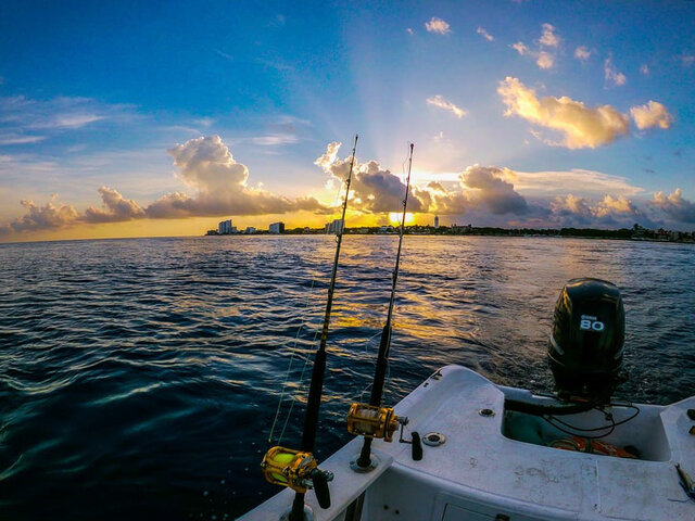 Listing image 627576