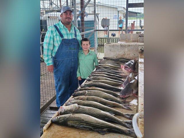 Listing image 624896