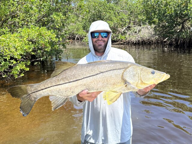 Listing image 1288341