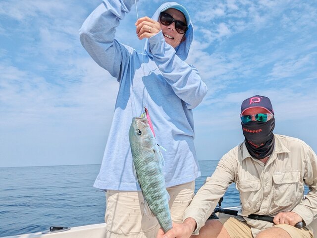 Listing image 1134119