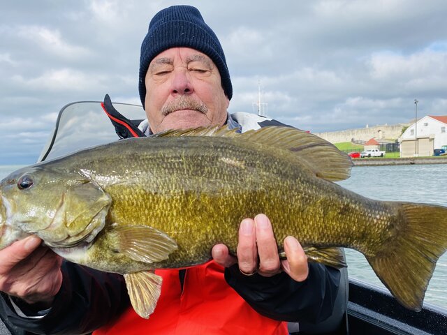 Listing image 628497