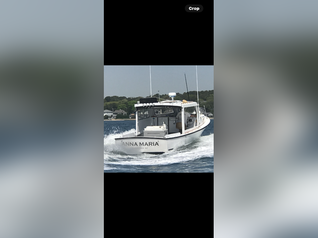 Listing image 1225992