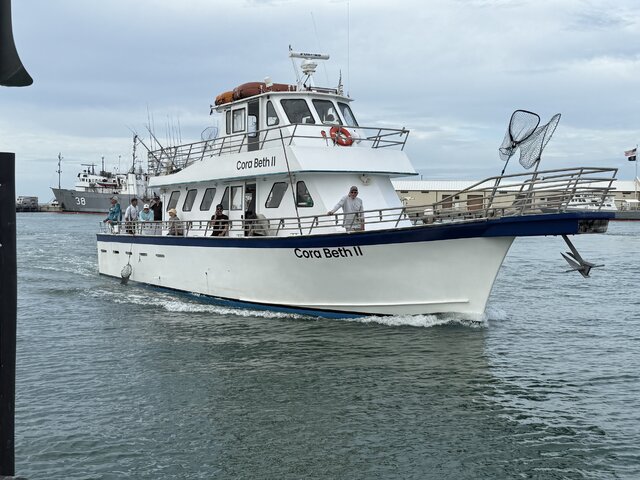 Listing image 1310307