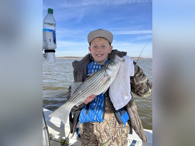 Listing image 1068840