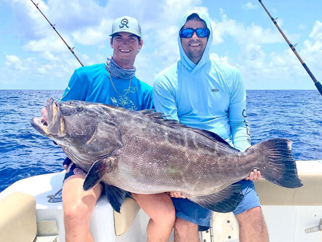 Listing image 638099