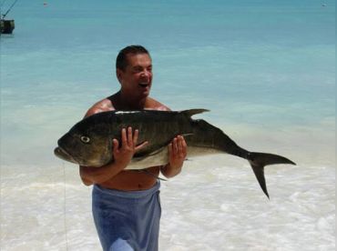 Zanzibar Smart Catch(Transport free thumbnail