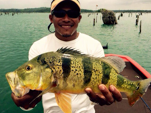 Listing image 649391