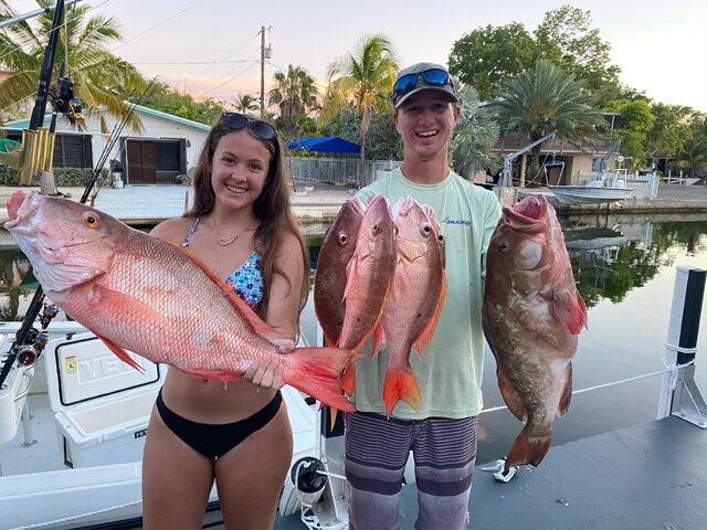 Listing image 639121