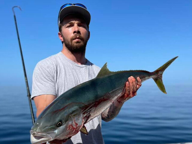 Listing image 641066