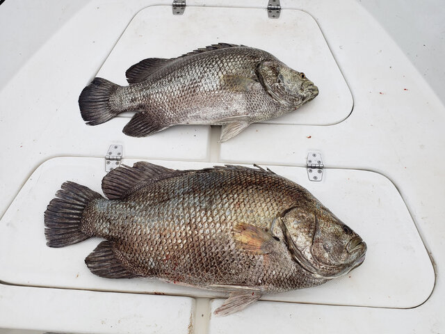 Listing image 657204