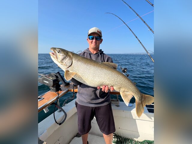 Listing image 760805