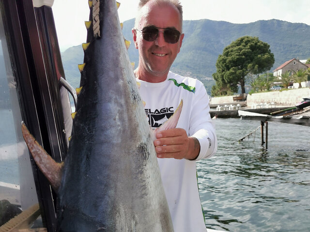 Listing image 654681