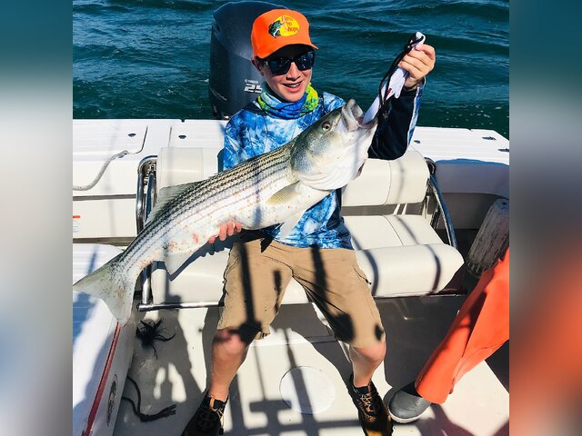 Listing image 858305