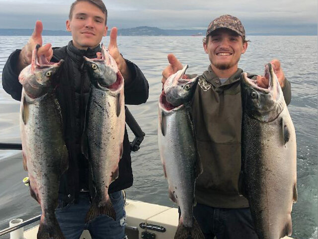 Listing image 653358