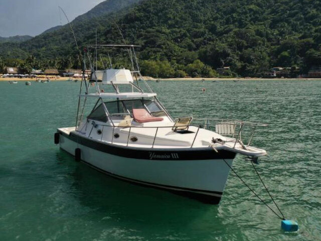 Listing image 683262