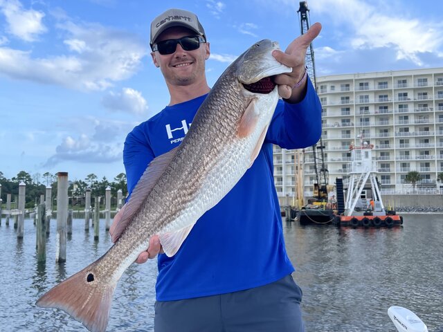 Listing image 837565